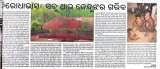 an-exclusive-story-on-keonjhar-mining-by-ranjan-pradhan-sambad-27.11.2010