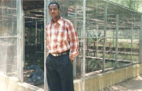 at-satakosia-crocodile-sanctuary-anugul